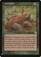Food Chain (246) [The List]