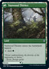 Vastwood Fortification (216) [Zendikar Rising]