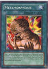 Metamorphosis (PGD-090) [Pharaonic Guardian]