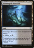 Submerged Boneyard (141) [Commander: Zendikar Rising]