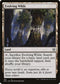 Evolving Wilds (129) [Commander: Zendikar Rising]