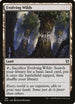 Evolving Wilds (129) [Commander: Zendikar Rising]