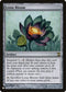 Lotus Bloom (259) [The List]