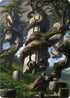 Forest Art Card () (20) [Art Series: Zendikar Rising]