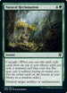 Natural Reclamation (245) [Commander Legends]