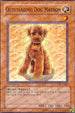 Outstanding Dog Marron (DCR-062) [Dark Crisis]