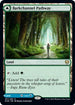 Barkchannel Pathway (251) [Kaldheim]