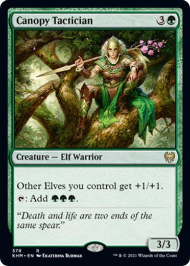 Canopy Tactician (378) [Kaldheim]