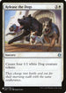 Release the Dogs (4) [The List]