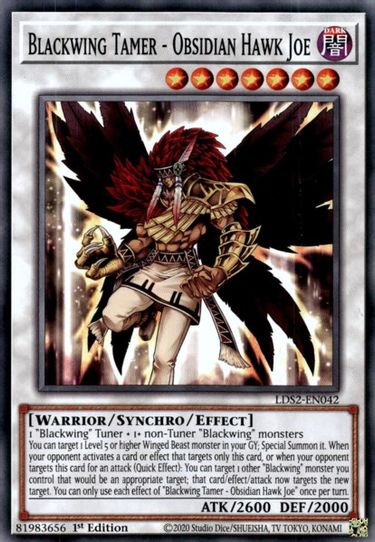 Blackwing Tamer - Obsidian Hawk Joe (LDS2-EN042) [Legendary Duelists: Season 2]