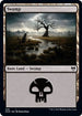 Swamp (396) [Kaldheim]