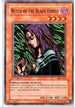 Witch of the Black Forest (SDP-014) [Starter Deck: Pegasus]