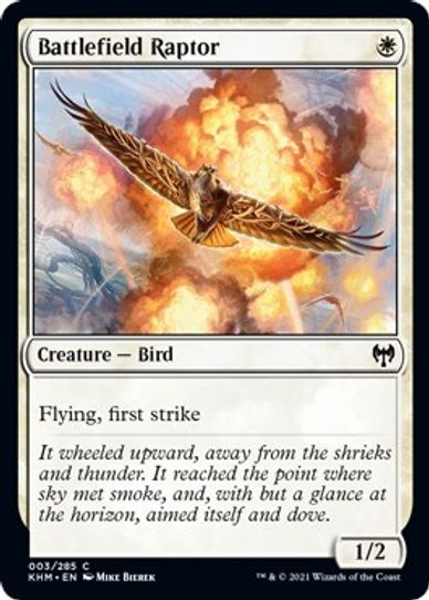 Battlefield Raptor (3) [Kaldheim]
