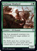 Nullmage Shepherd (70) [Commander: Kaldheim]