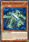 Digital Bug Registrider (BLVO-EN023) [Blazing Vortex]
