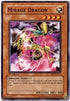 Mirage Dragon (RDS-EN027) [Rise of Destiny]