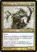 Skullbriar, the Walking Grave (227) [The List]