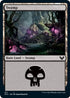 Swamp (371) [Strixhaven: School of Mages]