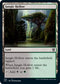 Jungle Hollow (295) [Commander 2021]