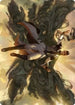 Arrogant Poet Art Card (7) [Art Series: Strixhaven]