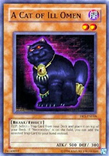 A Cat of Ill Omen (DR1-EN018) [Dark Revelation Volume 1]