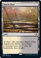 Marsh Flats (248) [Modern Horizons 2]