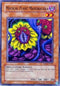 Magical Plant Mandragola (DR1-EN127) [Dark Revelation Volume 1]
