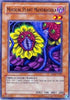 Magical Plant Mandragola (DR1-EN127) [Dark Revelation Volume 1]