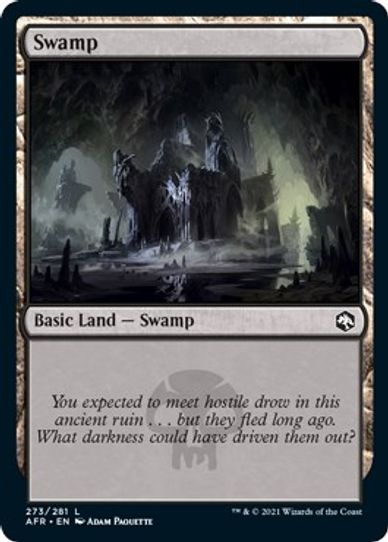 Swamp (273) [Adventures in the Forgotten Realms]