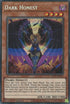 Dark Honest (LIOV-EN022) [Lightning Overdrive]