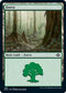 Forest (Foil Etched) (489) [Modern Horizons 2]