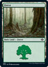 Forest (Foil Etched) (489) [Modern Horizons 2]