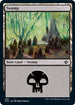 Swamp (Foil Etched) (485) [Modern Horizons 2]