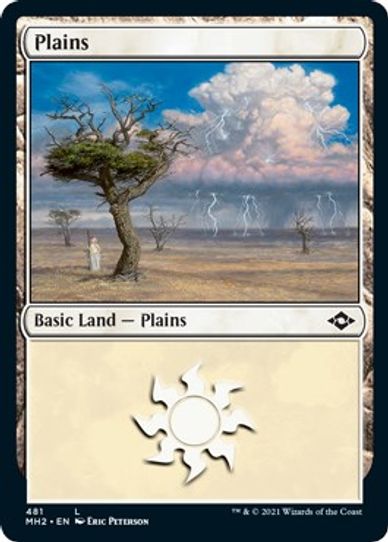Plains (Foil Etched) (481) [Modern Horizons 2]
