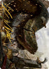 Junk Winder Art Card (Gold-Stamped Signature) (13) [Art Series: Modern Horizons 2]