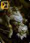 Nested Shambler Art Card (Gold-Stamped Signature) (32) [Art Series: Modern Horizons 2]