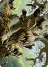 Scurry Oak Art Card (Gold-Stamped Signature) (40) [Art Series: Modern Horizons 2]