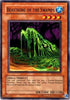 Beastking of the Swamps (TP5-EN014) [Tournament Pack 5]