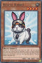 Rescue Rabbit (KICO-EN034) [King's Court]