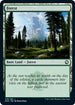 Forest (278) [Adventures in the Forgotten Realms]