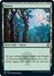 Forest (279) [Adventures in the Forgotten Realms]
