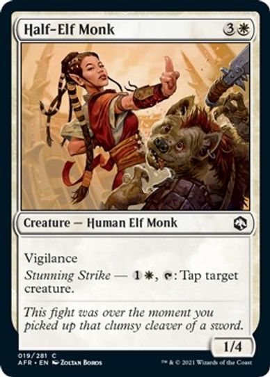 Half-Elf Monk (19) [Adventures in the Forgotten Realms]