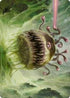 Beholder Art Card (1) [Art Series: Adventures in the Forgotten Realms]