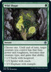 Wild Shape (212) [Adventures in the Forgotten Realms]