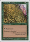 Wall of Brambles [Fifth Edition]