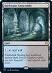 Darkwater Catacombs (232) [Commander: Adventures in the Forgotten Realms]