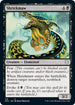 Shriekmaw (110) [Commander: Adventures in the Forgotten Realms]