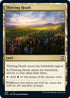 Thriving Heath (269) [Commander: Adventures in the Forgotten Realms]