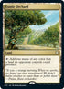 Exotic Orchard (236) [Commander: Adventures in the Forgotten Realms]