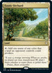 Exotic Orchard (236) [Commander: Adventures in the Forgotten Realms]